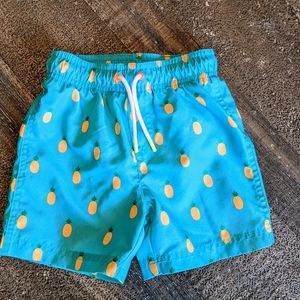 Toddler Boys Swim Trunks